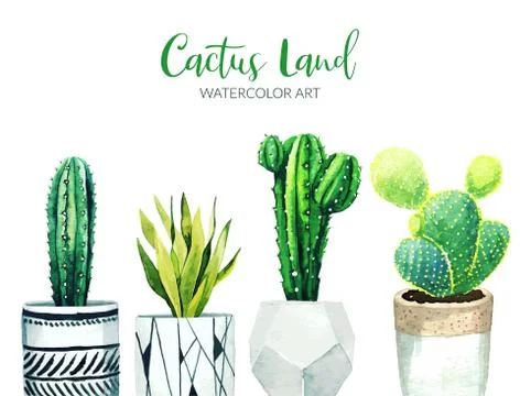 Potted cactus plants, hand drawn watercolor illustration Stock Illustration