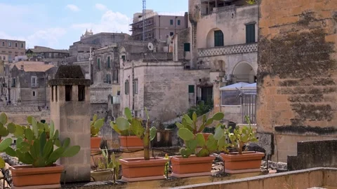 Potted Cactus Plants on Rooftop Terrace with Old Stone Buildings Vídeos de archivo 346016155