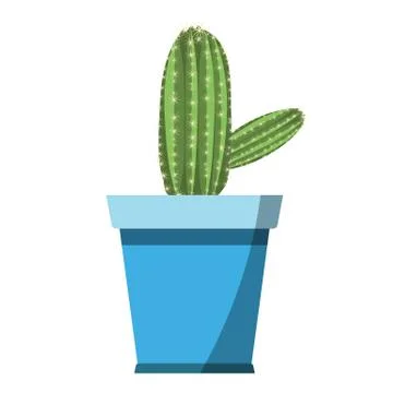 Potted cute cactus vector in blue flower pot isolated on white background Stock Illustration