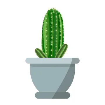 Potted cute cactus vector isolated on white background Stockillustratie