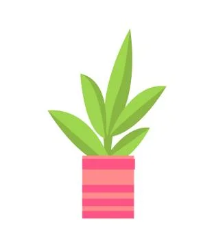 Potted Flower Isolated on White Vector Banner 库存插图