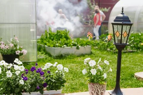 Potted flowers in the backyard Stock Photos