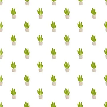 Potted green houseplants seamless pattern on white background Stock-Illustration