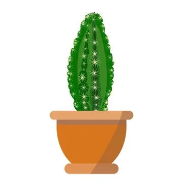 Potted nice cactus vector isolated on white background Illustrazione stock