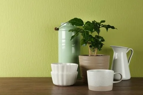 Potted plant and set of kitchenware on wooden table near green wall, space fo Stock Photos