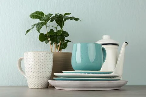 Potted plant and set of kitchenware on grey table near light wall. Modern int Stock Photos