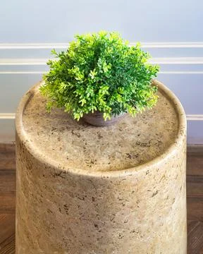 Potted plant on marble side table in modern living room, with sleek surface and Stock Photos