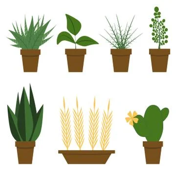 Potted plant set. Vector illustration Stock Illustration