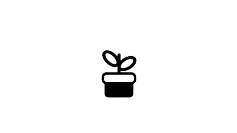 Potted Plant Sprout Stock Footage 334340668