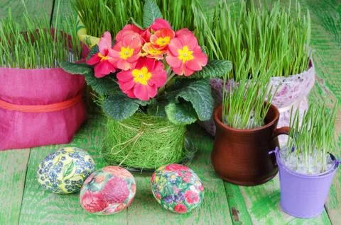 Potted plants and Easter eggs 写真素材