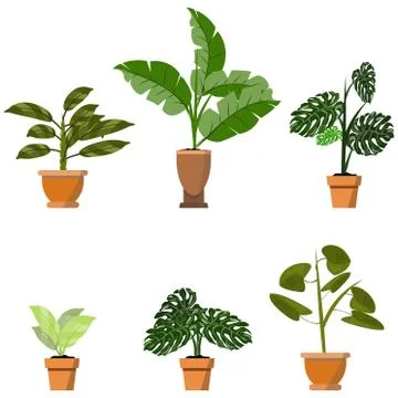 Potted plants isolated on white. Vector set of six green tropical plants Stock Illustration