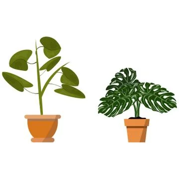 Potted plants isolated on white. Vector set of two floral tropical plants Stock Illustration