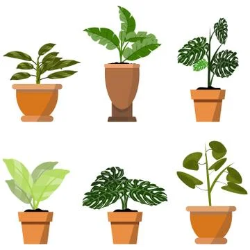 Potted plants isolated on white. Vector set of six green tropical plants Stock-Illustration