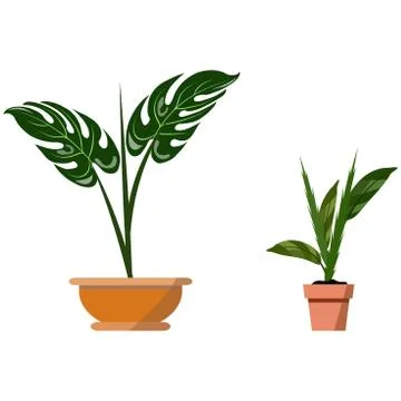 Potted plants isolated on white. Vector set of two green tropical plant Stock-Illustration