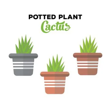 Potted plants or cactus Vector illustration Illustrazione stock
