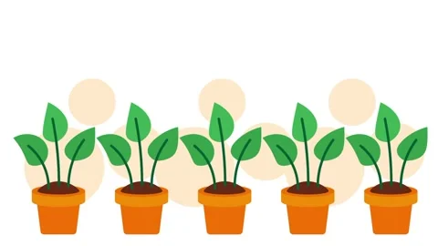 Potted Plants Row Icon Stock Footage 343509538