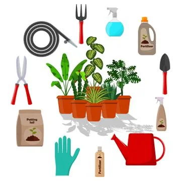 Potted plants surrounded by garden tools. Set of gardening tools, potting soi Stock Illustration