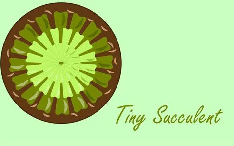Potted succulent Stock Illustration