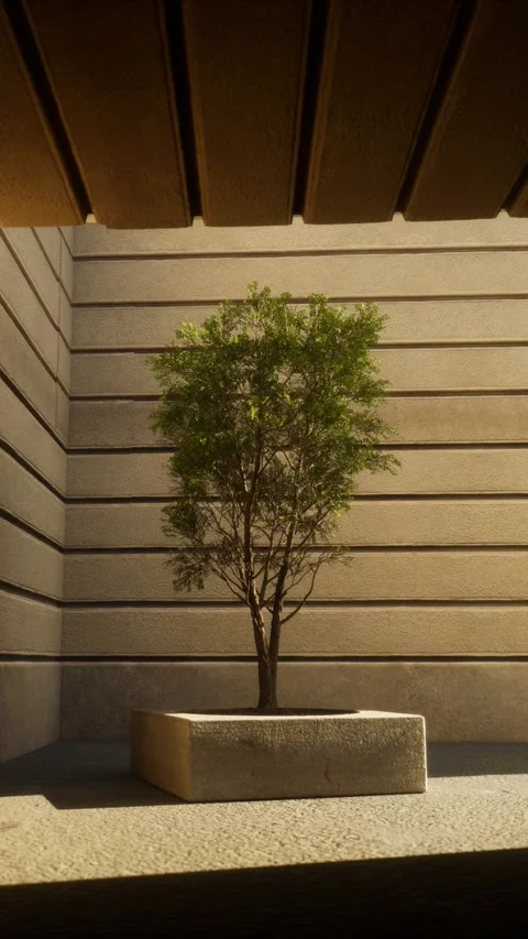 The potted tree at the end of the tunnel. Vertical animation Stock Footage 307011811