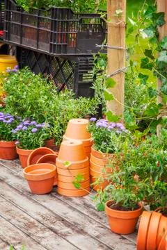 Potting area 写真素材
