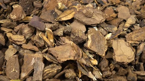 Potting barks falls on the pieces of bark, top view, background Stock Footage 341157876