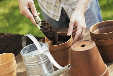 Potting Stock Photos