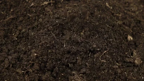 Potting soil falls on a layer of soil, top view, slow motion, background Stock Footage 341157757