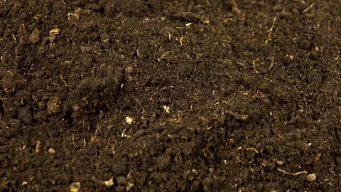 Potting soil falls on a layer of soil, top view, background Stock Footage 341157784