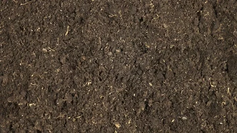 Potting soil for grow plants in containers, top view, background Stock Footage 341158385
