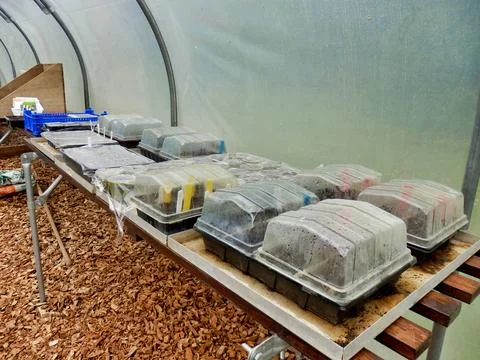 Potting Time. Stock Photos