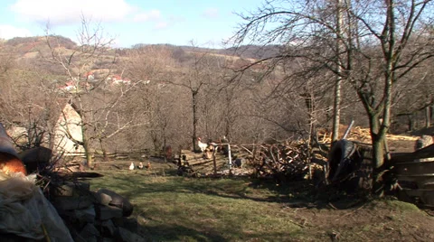 Poultry in the backyard on countryside Vídeo Stock 36974176