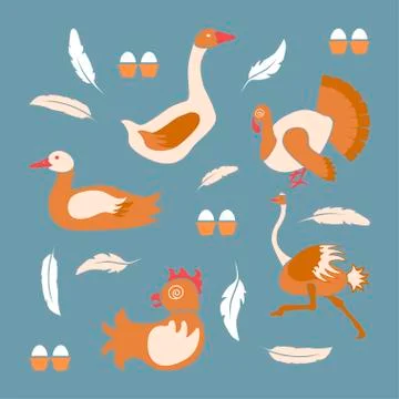 Poultry farm banner Stock Illustration