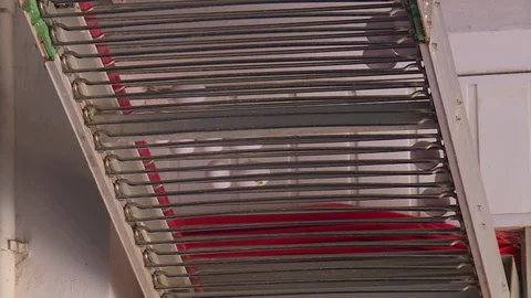Poultry farm, egg conveyor Vidéo 122518005