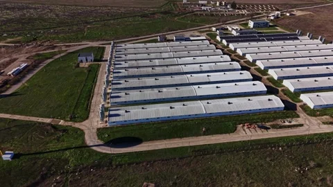 Poultry farm with multiple chicken houses during daylight in rural area Stock Footage 334029338