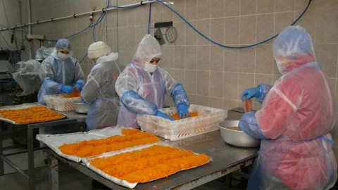 Poultry farm workers make chicken schnitzel in breadcrumbs. Stock Footage 185421473