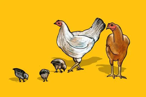 Poultry Farming Illustrazione stock