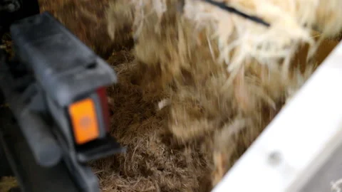 Poultry feathers are prepared for processing. The car loads a special container Stock Footage 192891168