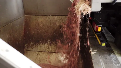 Poultry feathers are prepared for processing. The car loads a special container Video stock 194447822