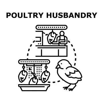 Poultry husbandry business with chick processing meat Stock Illustration