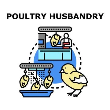 Poultry husbandry business with chick processing meat Stock Illustration