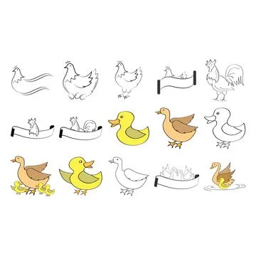 The poultry icon vector illustration Stock Illustration