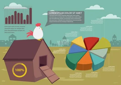 Poultry infographic Illustrazione stock