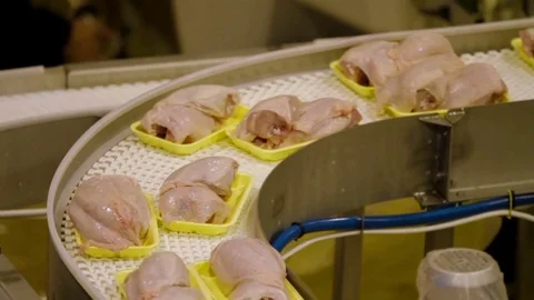 Poultry meat during production process Stock Footage 70573157