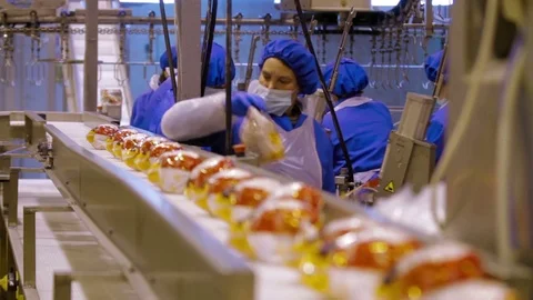 Poultry meat during production process Stock Footage 70581636