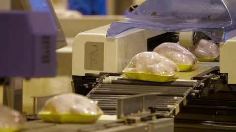 Poultry meat during production process Video stock 70583872