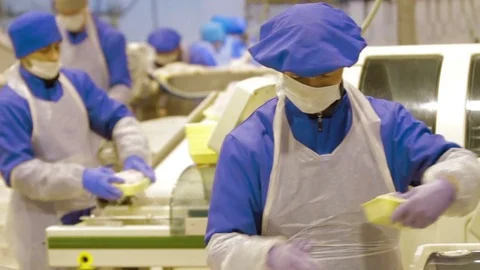 Poultry meat during production process Stock Footage 70584094