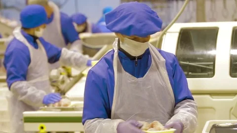 Poultry meat during production process Stock Footage 70585477