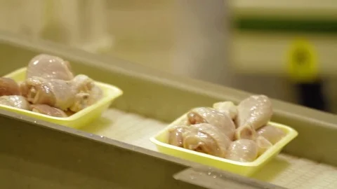 Poultry meat during production process Stock Footage 70586113
