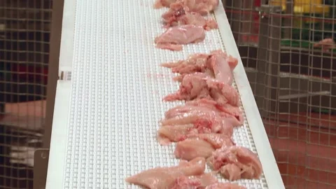 The poultry processing in food industry. Deboning chicken. Video stock 122626661