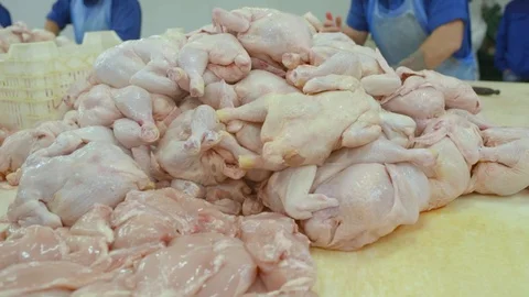 Poultry processing in food industry Stock-Footage 100532617